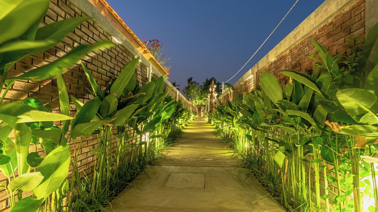 Photo of Outdoor in Purwakerti