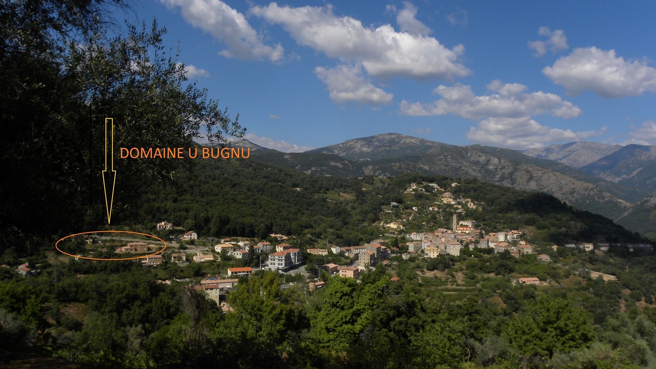 Photo of Outdoor in Vico