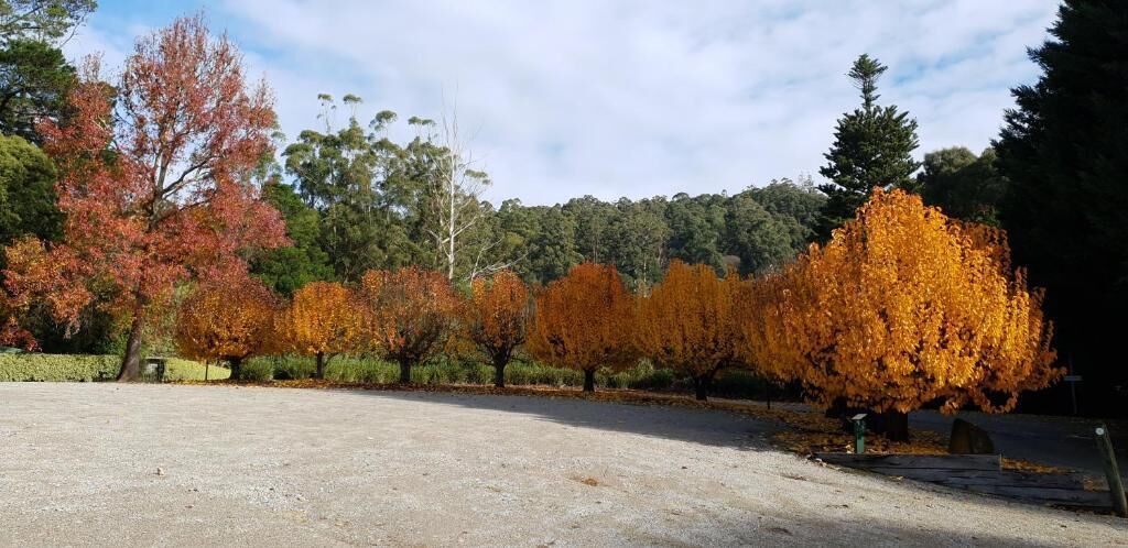 Photo of Outdoor in Kalorama