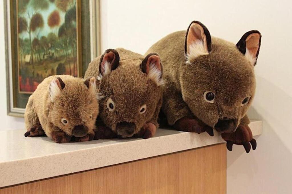 Photo of Others in Kalorama