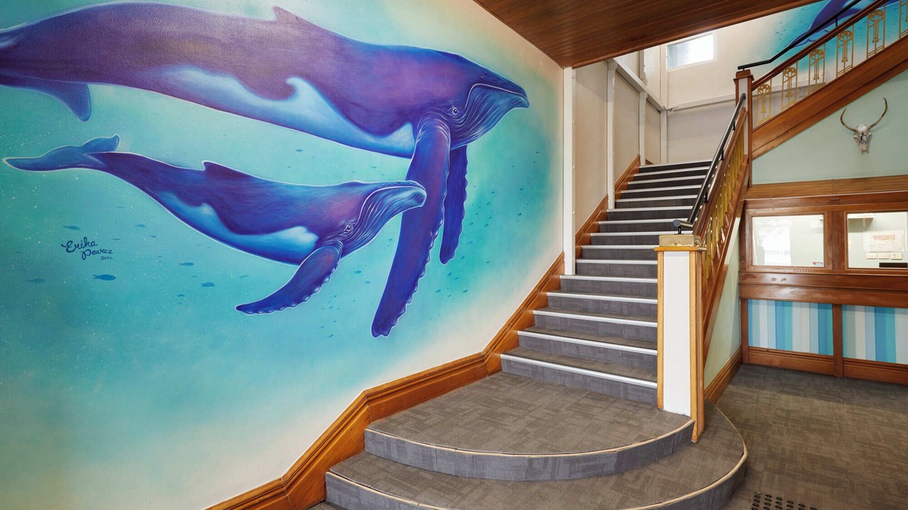 Photo of Others in Tauranga