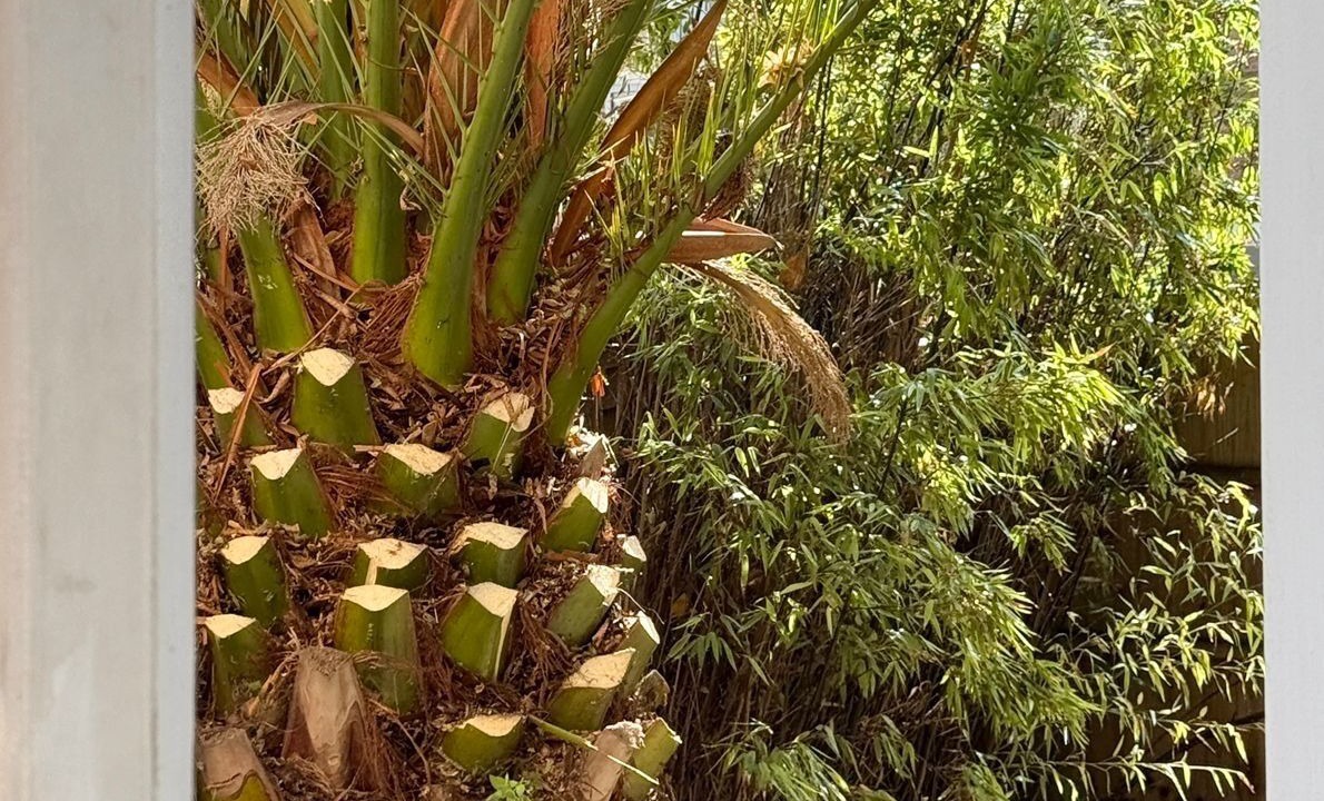 Photo of Outdoor in Shadwell