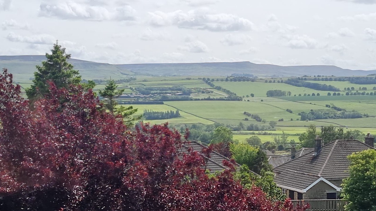 Photo of Others in Leyburn