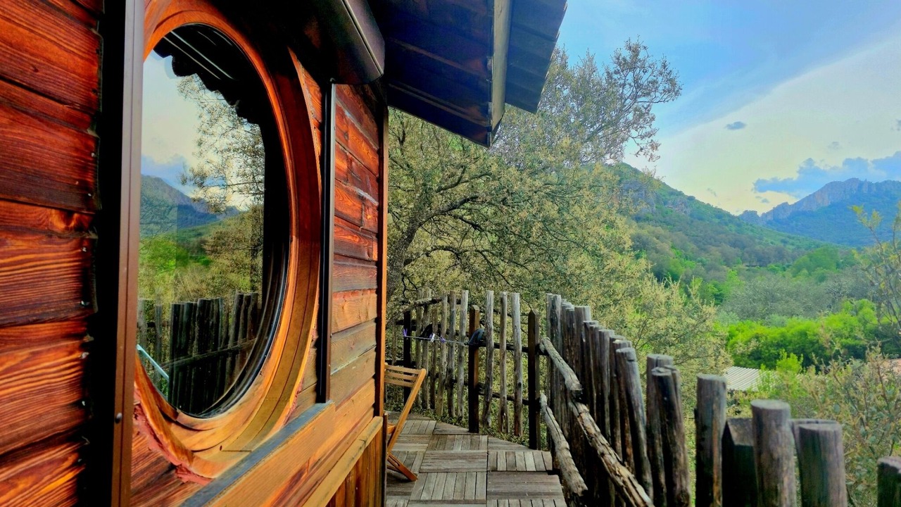 Photo of Outdoor in Omessa