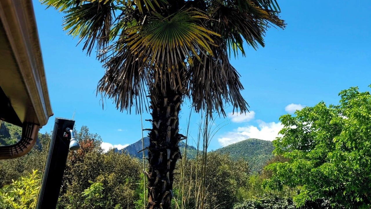 Photo of Outdoor in Omessa