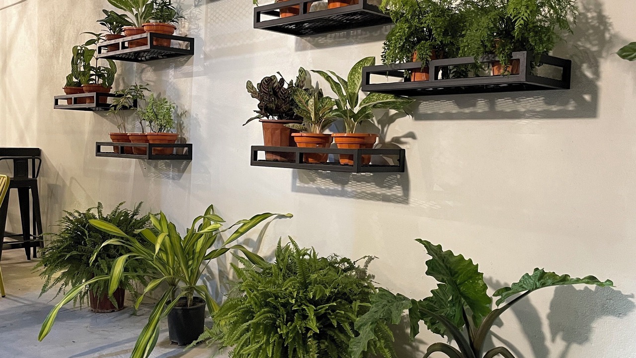 Photo of Outdoor in Jawa