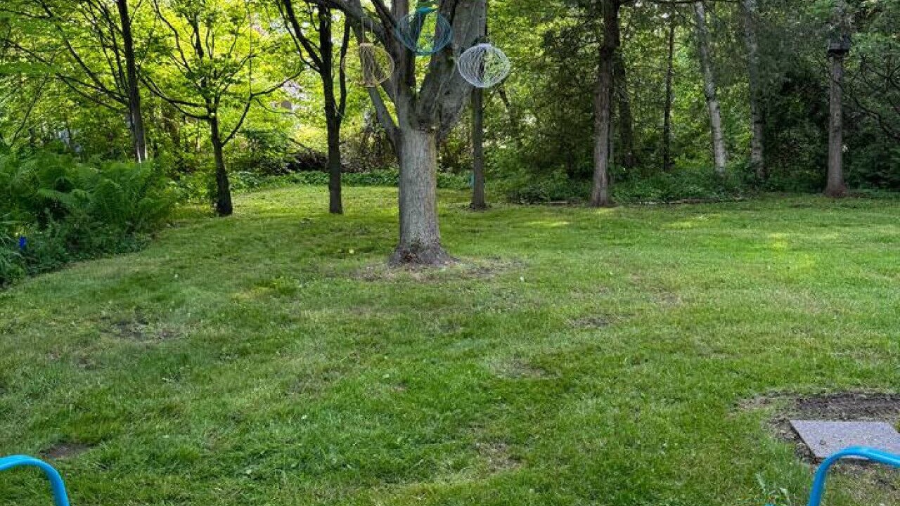 Photo of Outdoor in Lambton Shores
