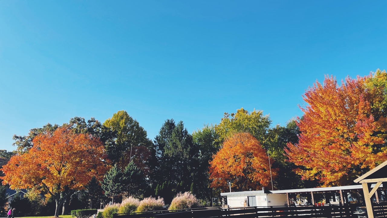 Photo of Outdoor in Saugatuck