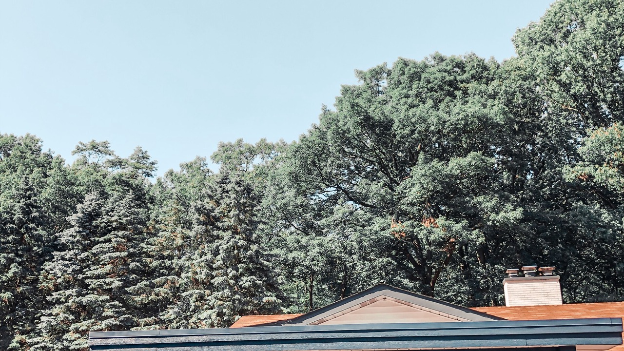 Photo of Outdoor in Saugatuck