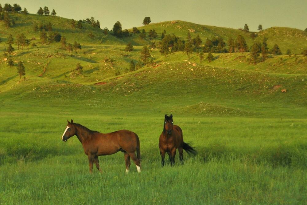 Photo of Others in Hot Springs
