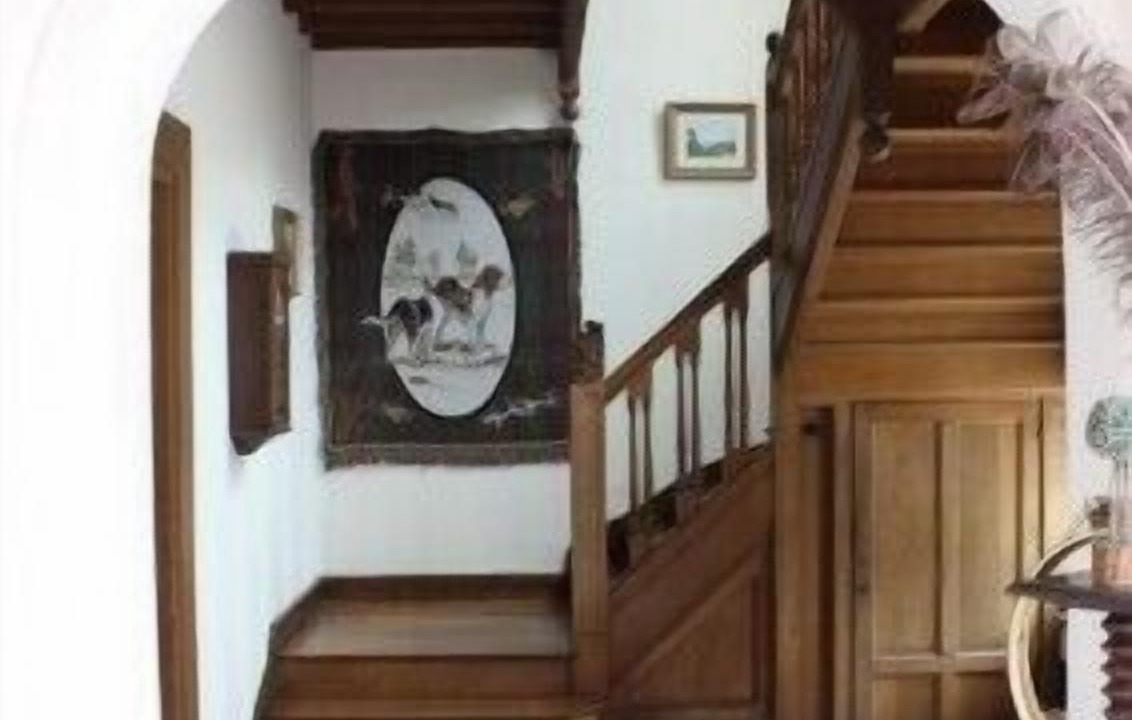 Photo of Others in Omiecourt