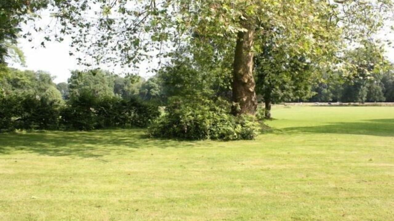 Photo of Outdoor in Omiecourt