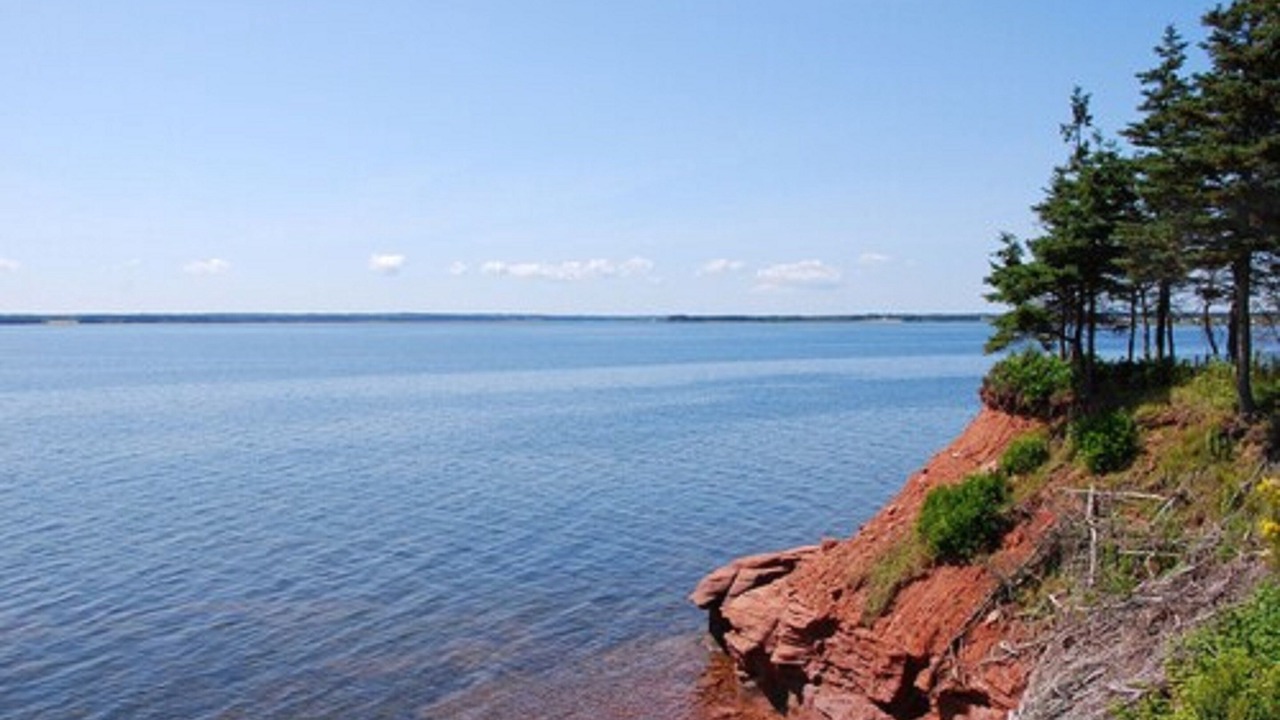 Photo of Outdoor in Little Pond