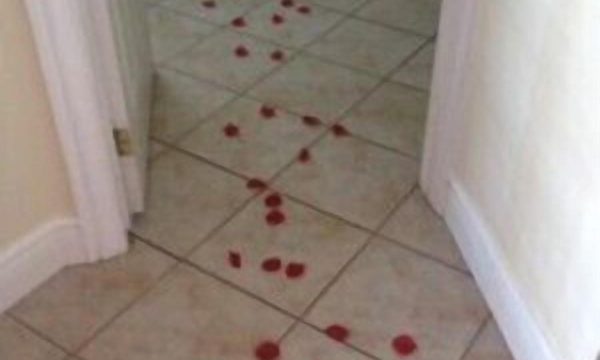 Photo of Bathroom in Calabogie