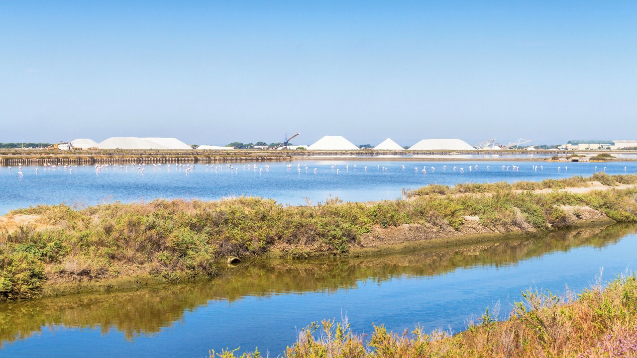 Photo of Outdoor in Le Grau-Du-Roi