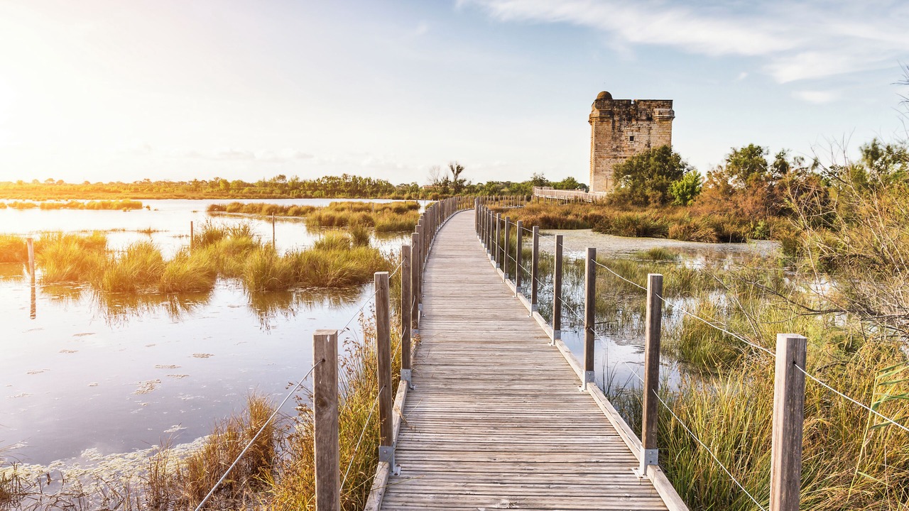 Photo of Outdoor in Le Grau-Du-Roi