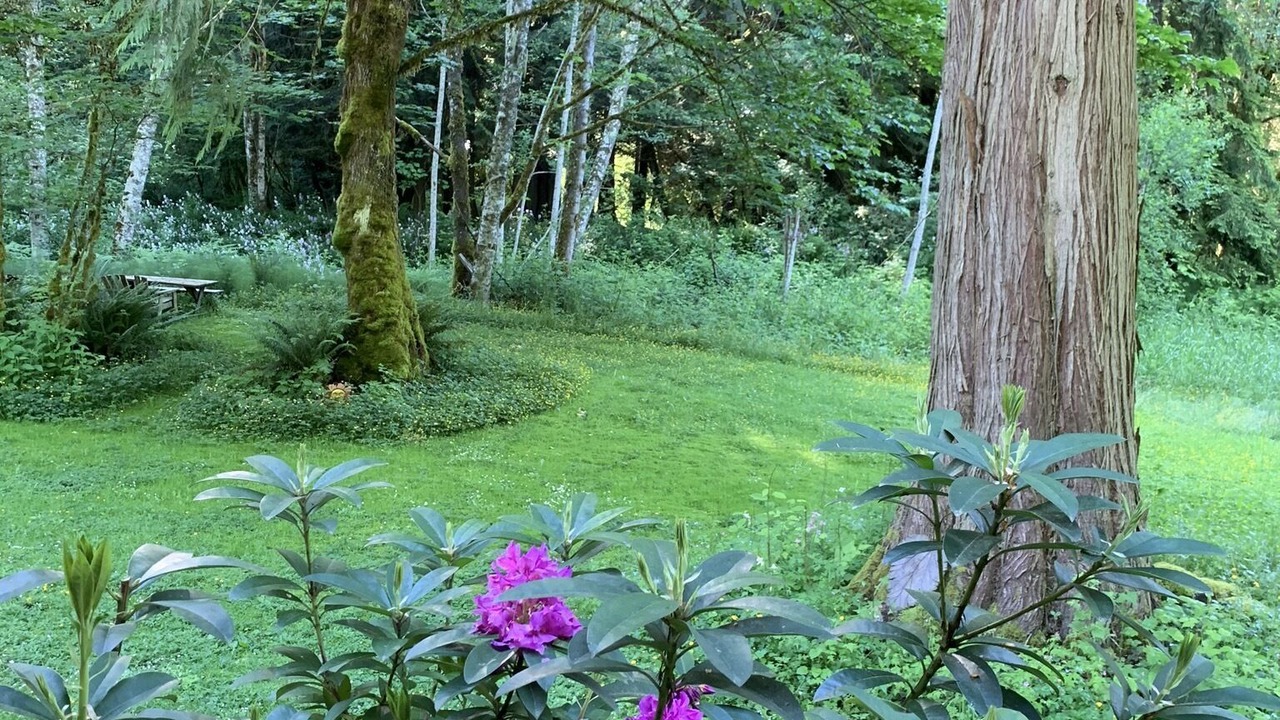 Photo of Outdoor in Ashford