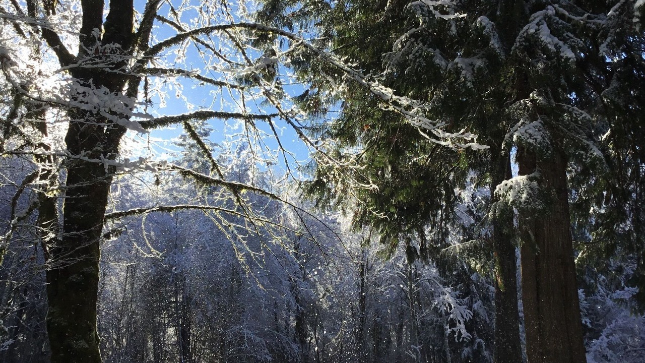 Photo of Outdoor in Ashford