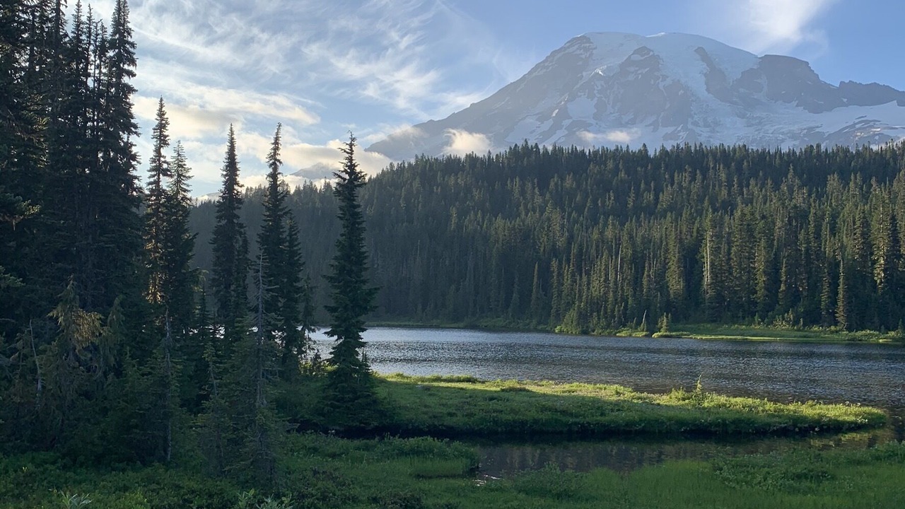 Photo of Others in Ashford