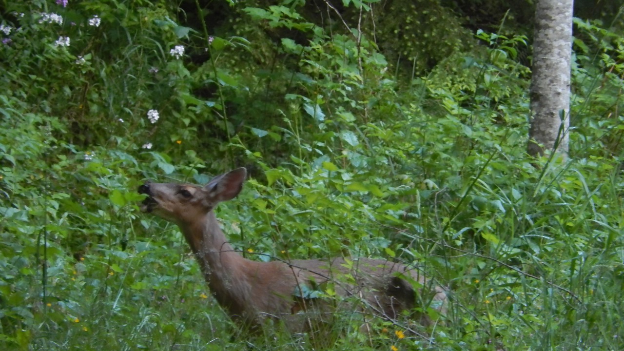 Photo of Others in Ashford