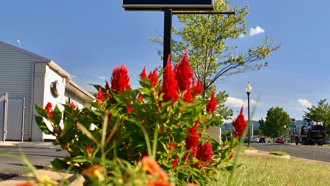 Photo of Outdoor in Front Royal