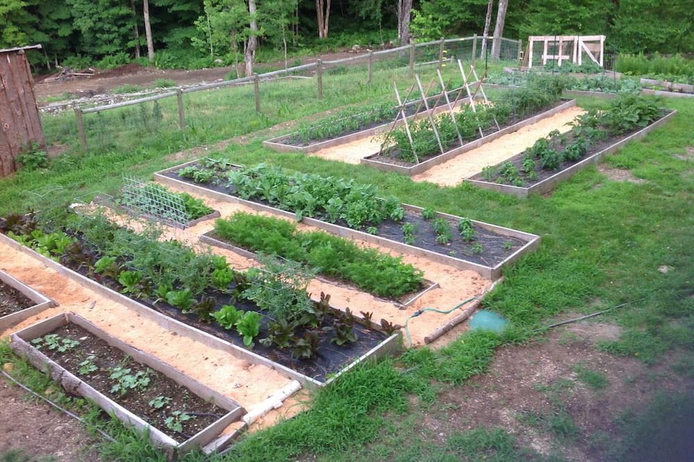 Photo of Outdoor in Jamaica