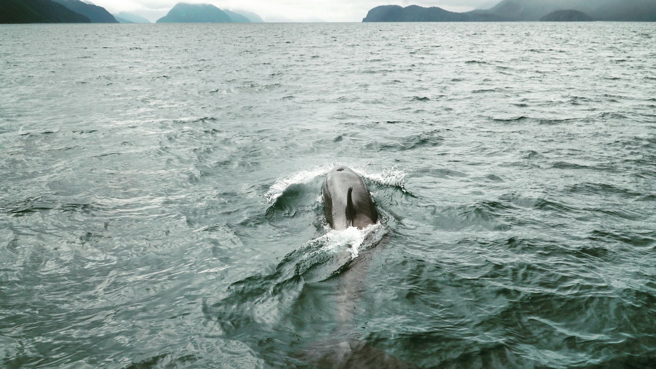Photo of Outdoor in Seward