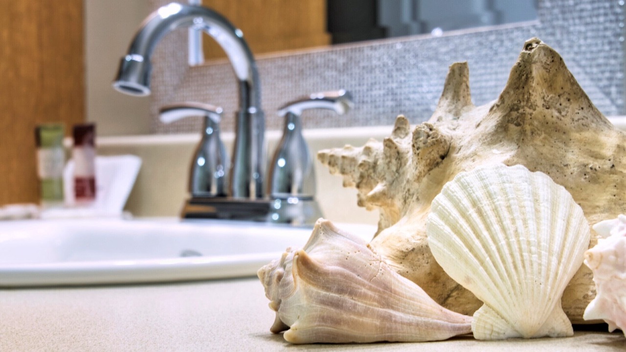 Photo of Others in Florenceville-Bristol