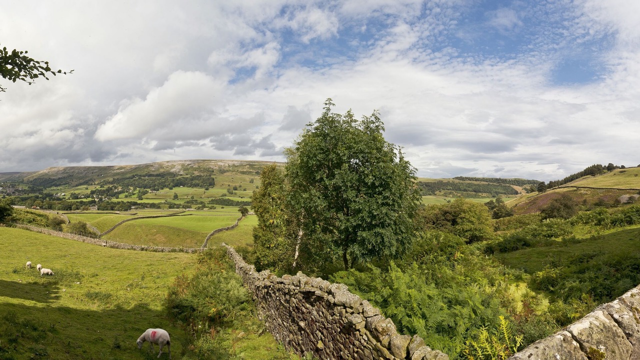 Photo of Others in Grinton