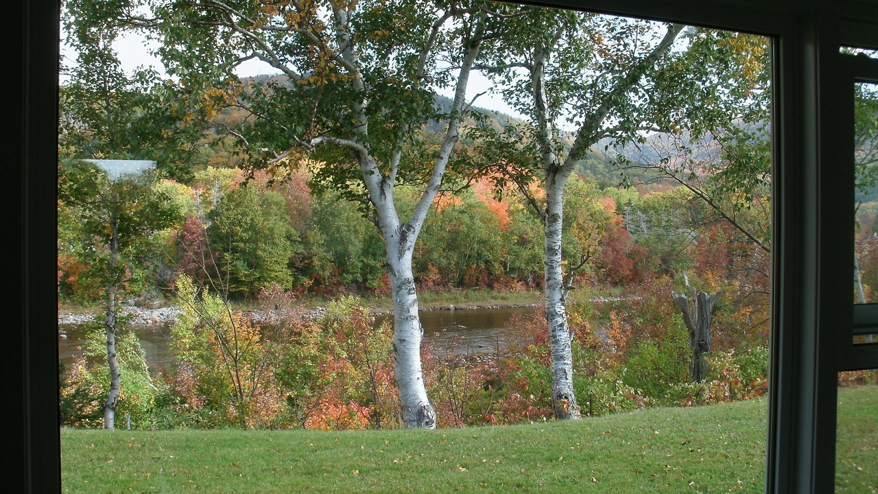 Photo of Others in Petit-Etang