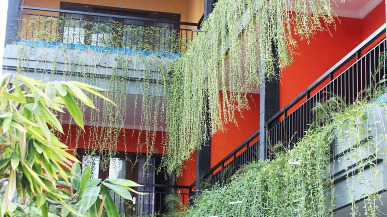 Photo of Outdoor in Kuta