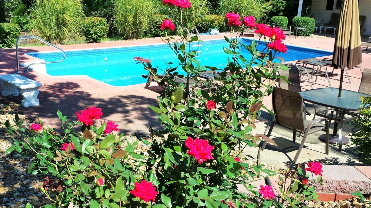 Photo of Outdoor in Waynesville
