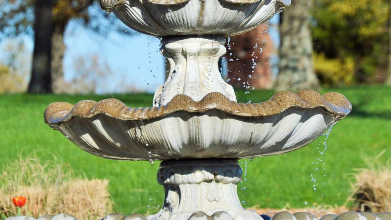 Photo of Outdoor in Waynesville