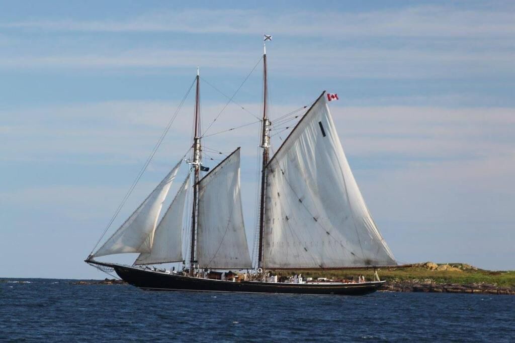 Photo of Others in Louisbourg