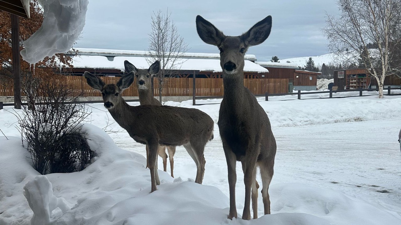 Photo of Outdoor in Winthrop