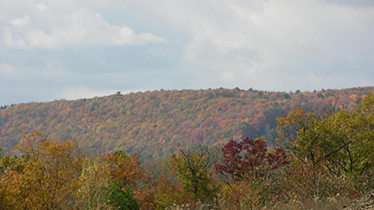 Photo of Outdoor in Lehighton