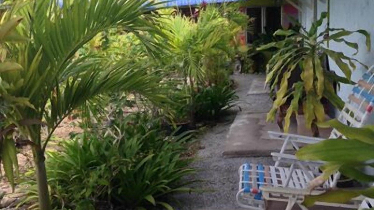 Photo of Outdoor in Kampung Kedawang