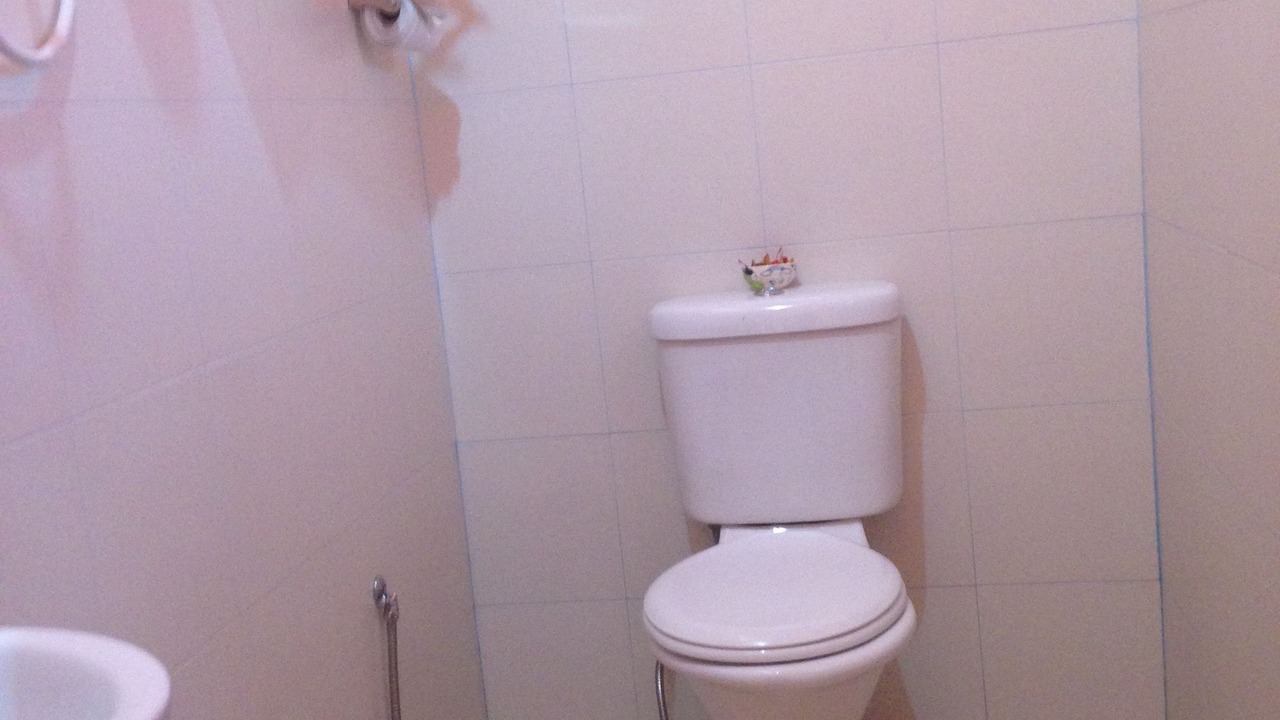 Photo of Bathroom in Kampung Kedawang