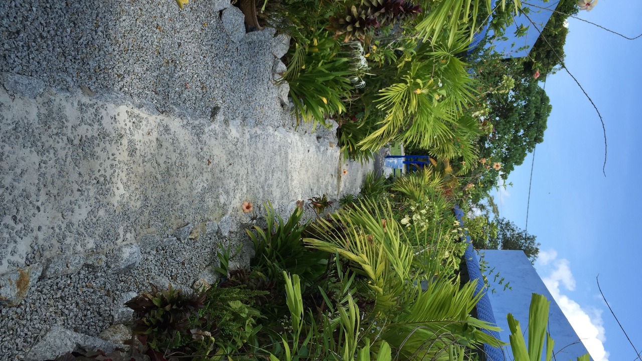 Photo of Outdoor in Kampung Kedawang