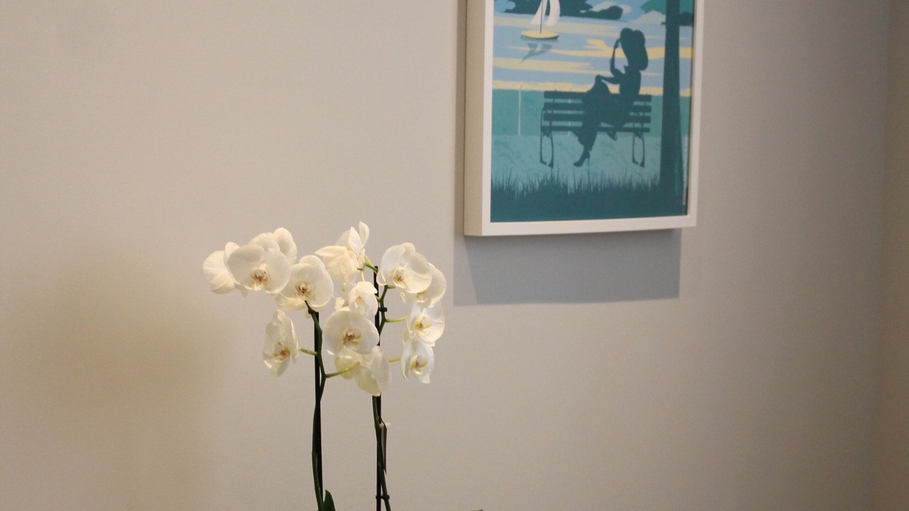 Photo of Bedroom in Aix-les-Bains City Center