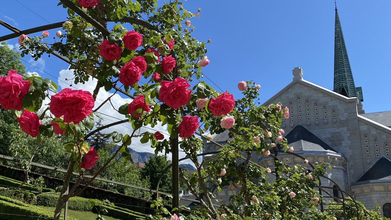 Photo of Outdoor in Aix-les-Bains City Center