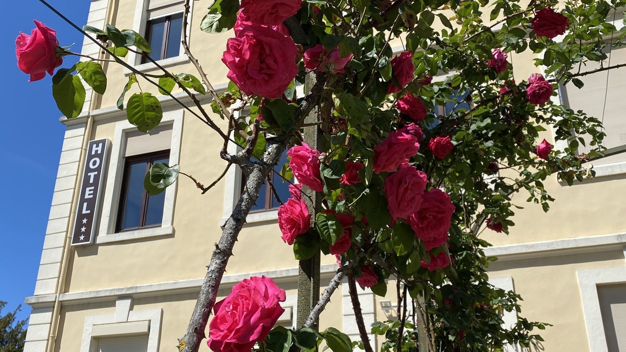 Photo of Outdoor in Aix-les-Bains City Center
