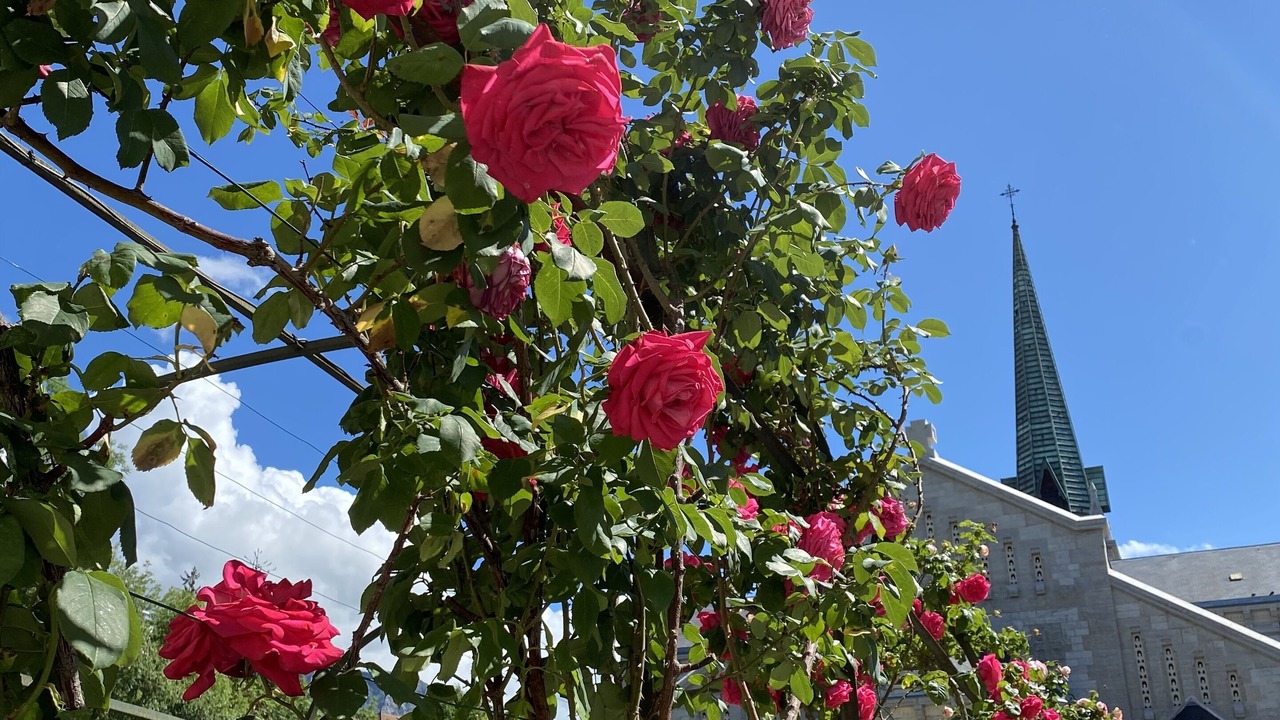 Photo of Outdoor in Aix-les-Bains City Center