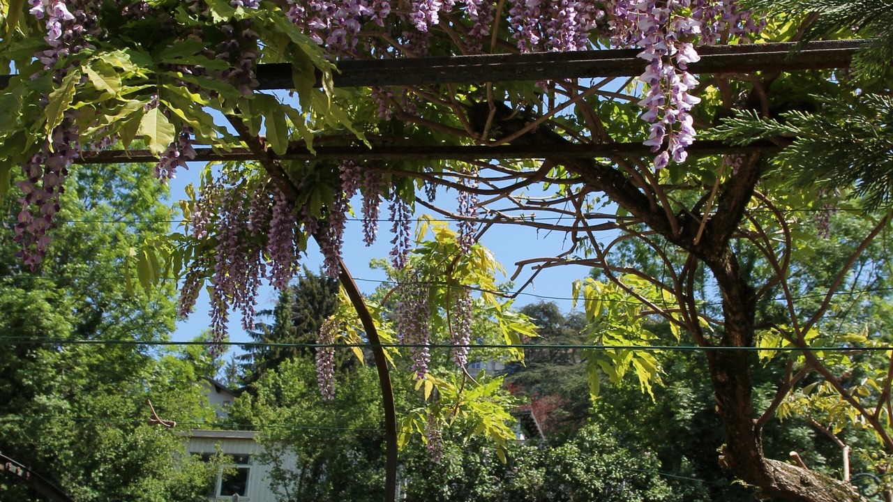 Photo of Outdoor in Aix-les-Bains City Center