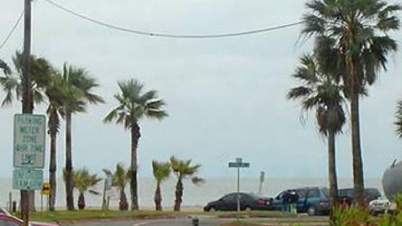 Photo of Others in North Beach