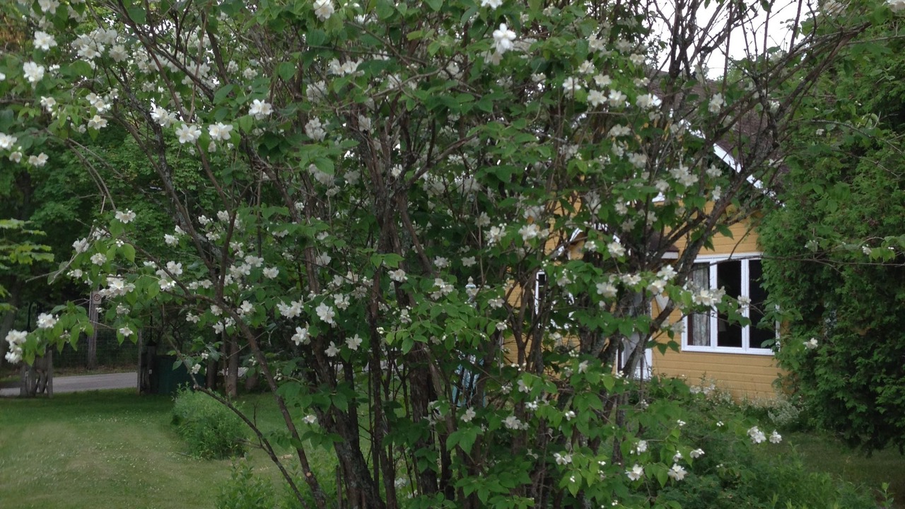 Photo of Outdoor in Pointe-au-Pic