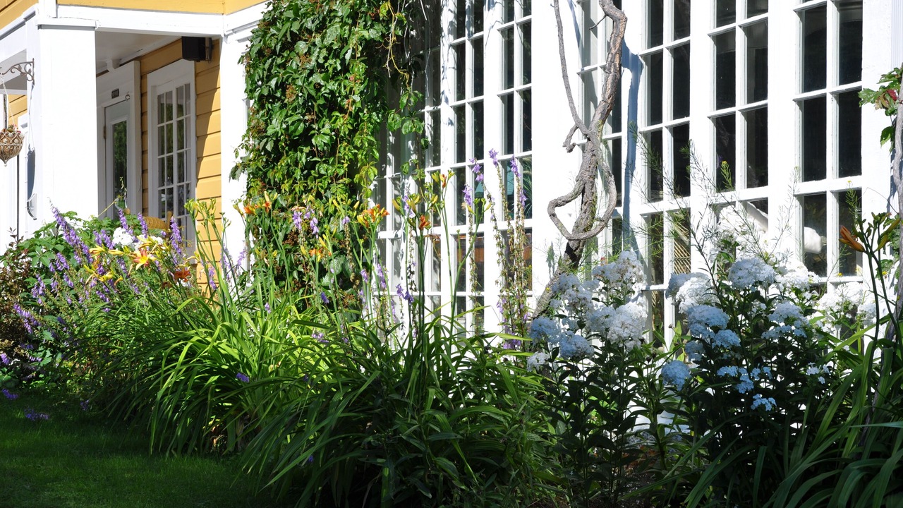 Photo of Outdoor in Pointe-au-Pic