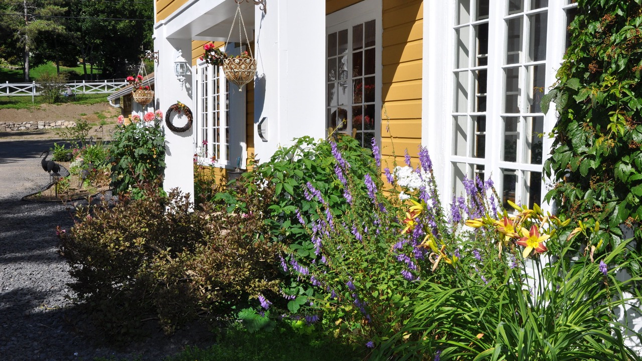 Photo of Outdoor in Pointe-au-Pic