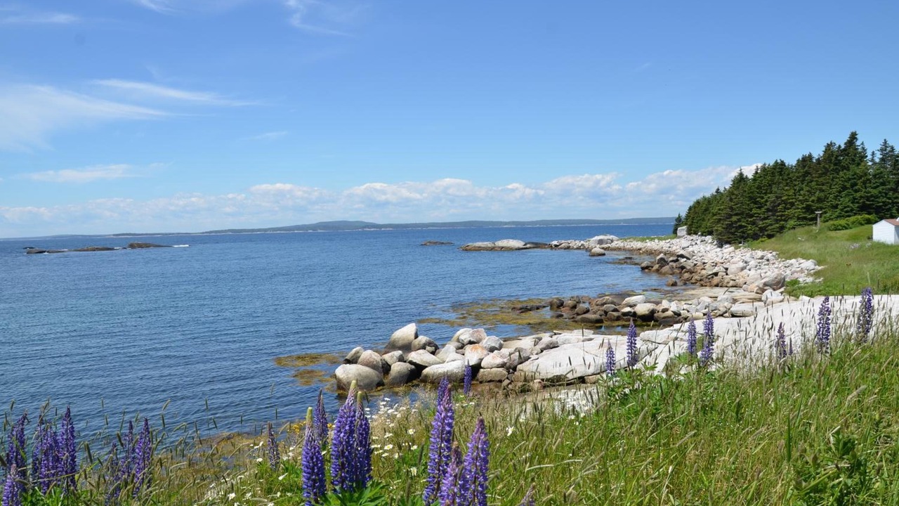 Photo of Others in Indian Harbour