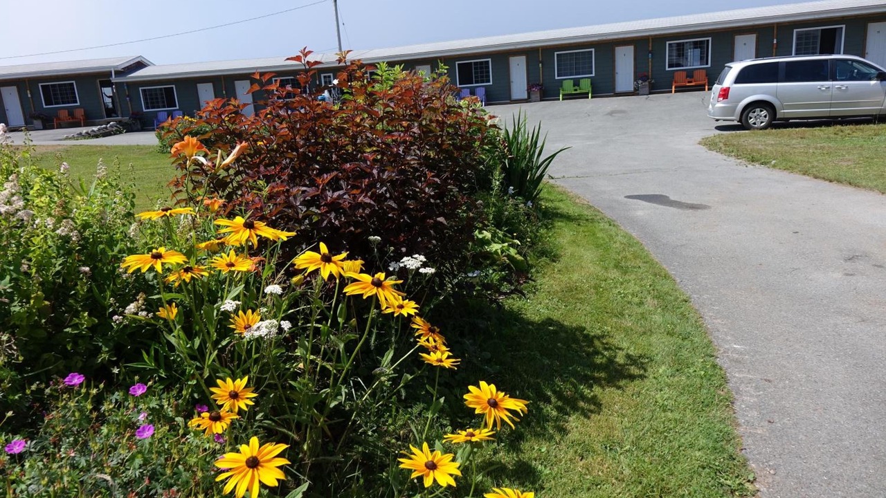 Photo of Outdoor in Indian Harbour